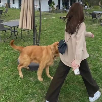 战士第二季